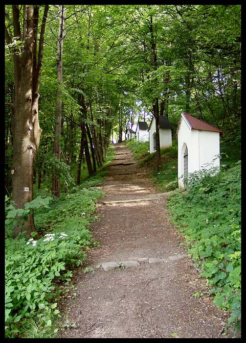 Po stopách předků