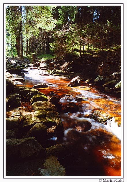 Novohradské hory-potůček