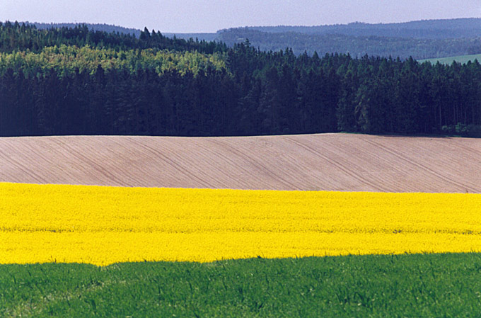 Plzeňsko