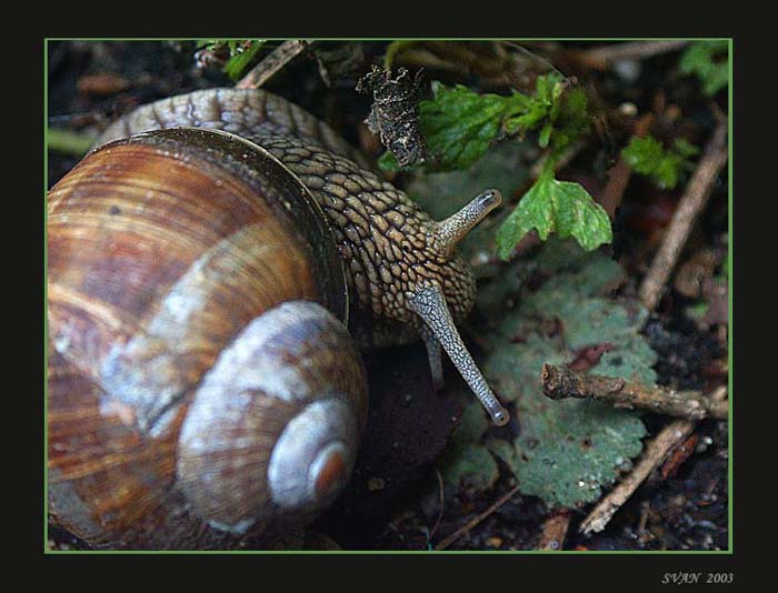 *  PRUDKÁ ZÁKRUTA  *