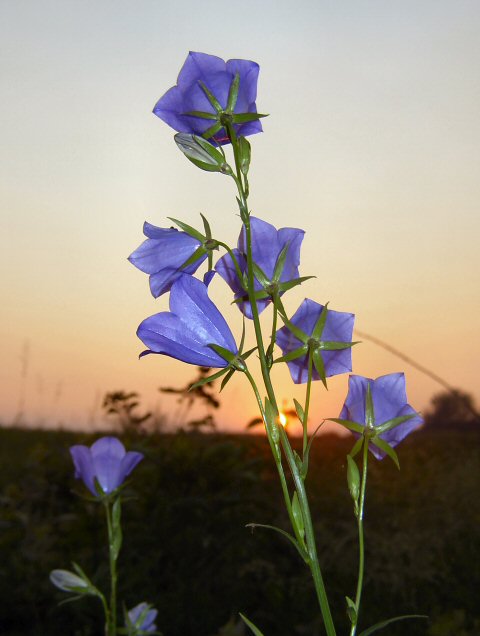Už zapadá
