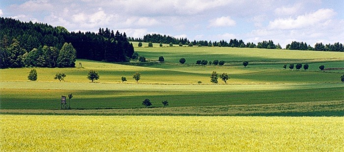 Pod Ostaší