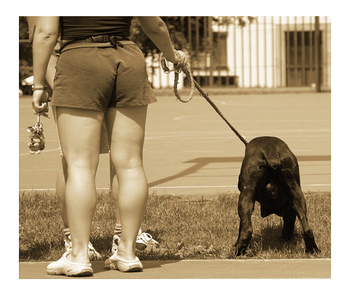 Tak nějak dvě prd...