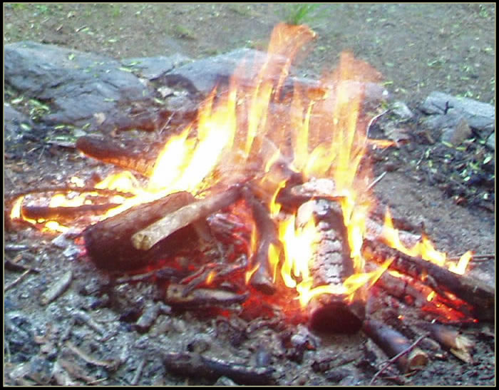 Oheň