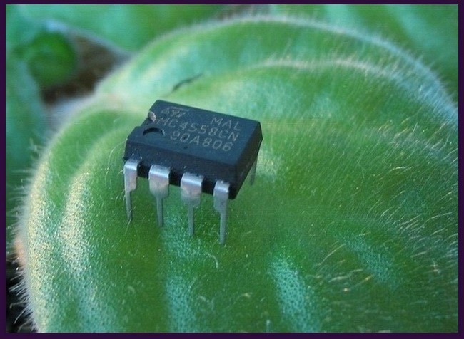 <b>Šváb Křemíkový</b>-<i>Blatta Silicium</i>
