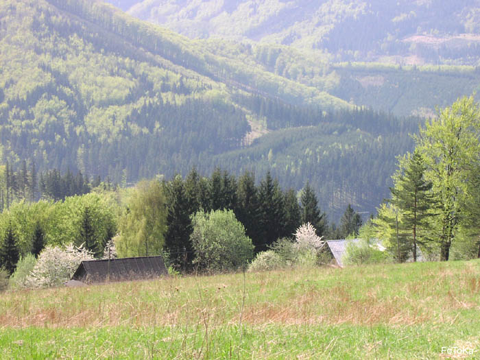 Slezské Beskydy-osada pod ČANTORYJI