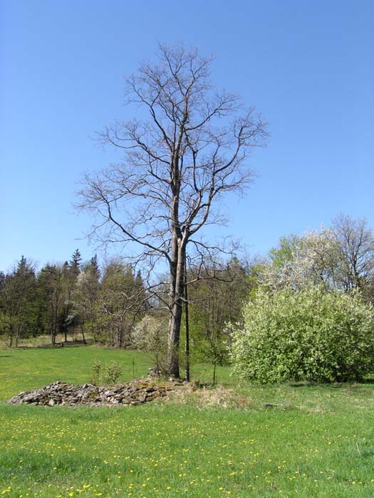 Přírodní park Džbány na jaře 4.05.2003