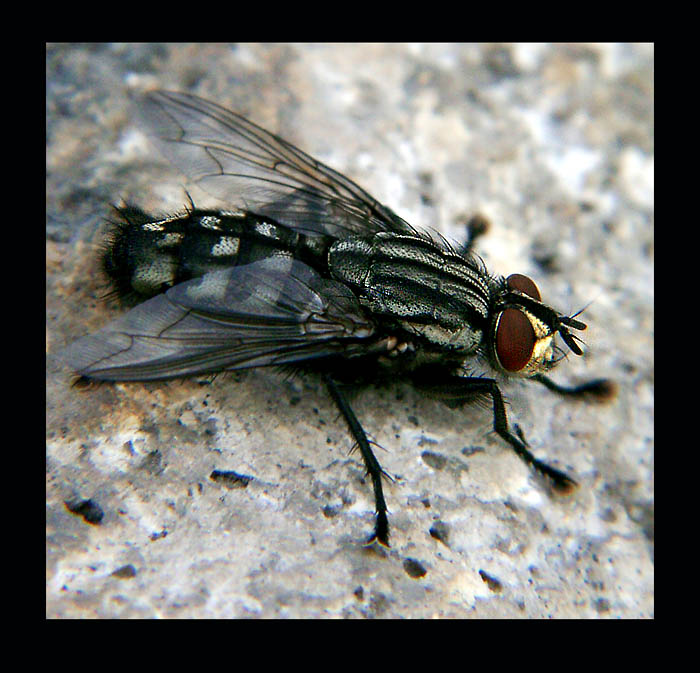 Pozor, to nejni hezký pohled!!!