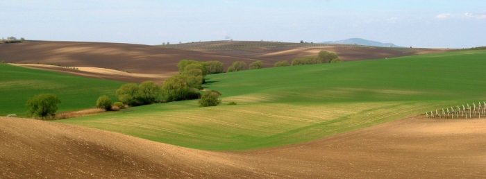 Pohled k Pálavě