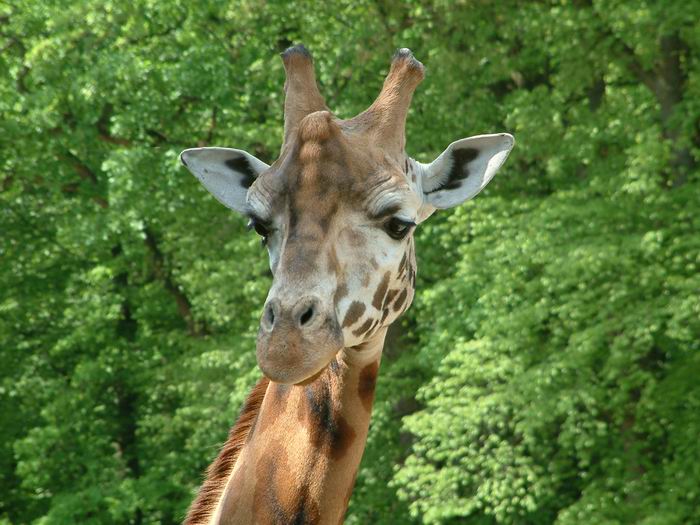 Prostě se ráda fotím...