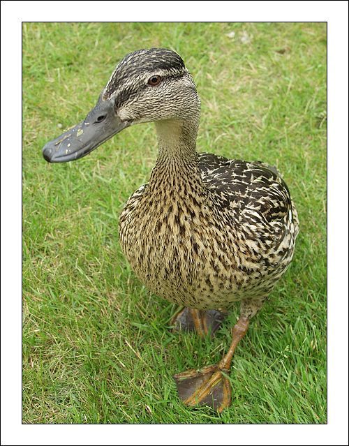 Pozdrav z výletu :-)