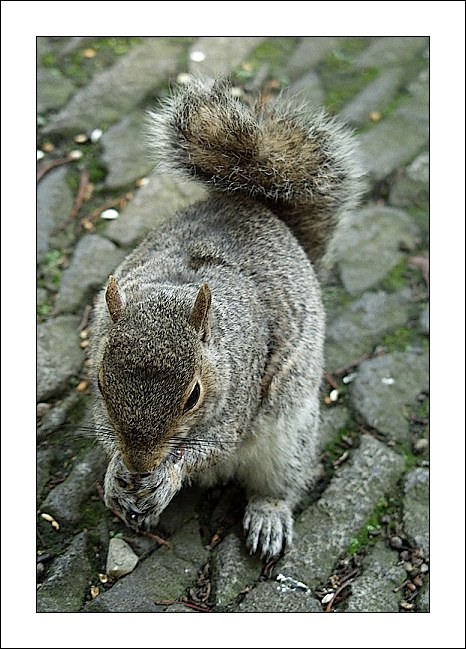 Pozdrav z výletu :-) II