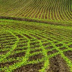 .:: JZD Kreativita ::.