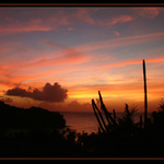 .:: Quarantine Point ::.