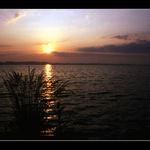 ...And A New Day Was Born...