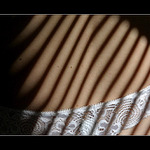 hra světla a stínů