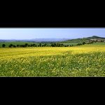 České středohoří II.