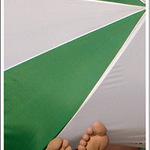 ...neparnokopytnik...