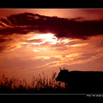 - U  NÁS  - když den končí  -