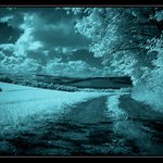 " Nivnická pastorále ... "