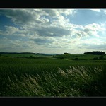 Krajina zapomnění . . .