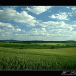 Krajina zapomnění II
