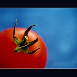 Kuchyňské zátiší