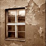 Windows 48