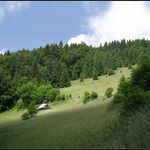 cestou na Poľanu ....