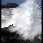 Run for your life !!!!!