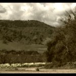 Jedna experimentalni....<br>nebijte me za to ze to nejni more...:)