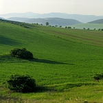 Spiš