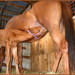 Postoj chvíľa, si krásna