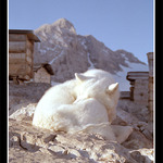 Konečně první paprsky...