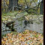 zátiší z velkoměsta