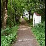 Po stopách předků