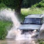 Rover