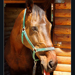 Lidičky, to je ale hic!