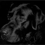 Je tam vidět nebo neni?