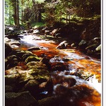 Novohradské hory-potůček