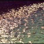 Odlesky minulého léta