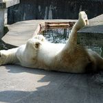 Sam s nohami na stole