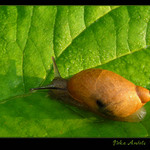 Máma říkala, že se mám dát na křižovatce vpravo...