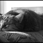 nekonečná lááábuš