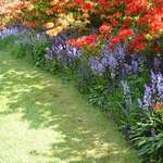 U nás na zahradě je krásně