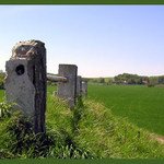 Bratři v triku podruhé......