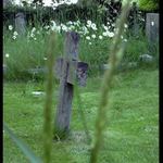 vsechno jednou konci...