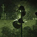 Všeliké to hemžení ...