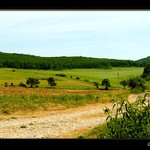 ...jede traktor, je to Zetor...