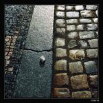 <b>::Asociácia::</b><br/>... vzťahy sú ako ...